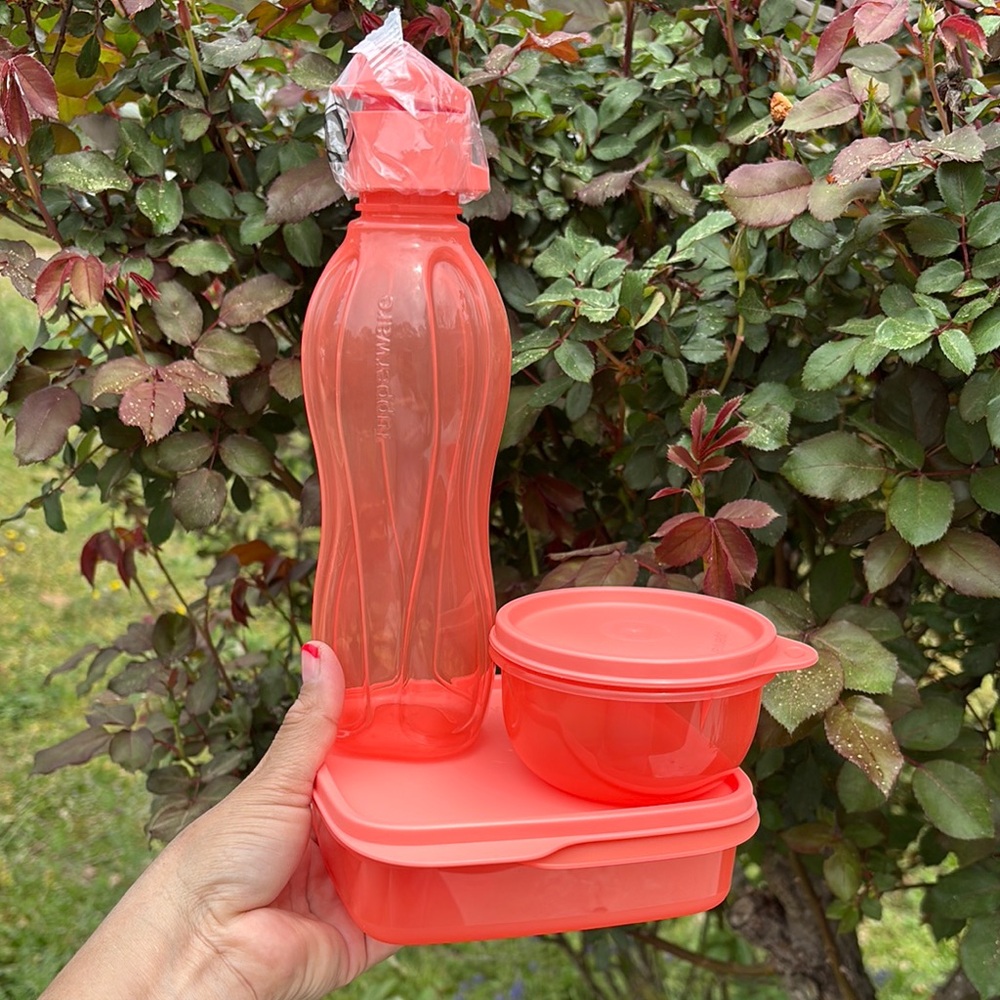 Tupperware Coral Lunch Set (3 Piece Set)